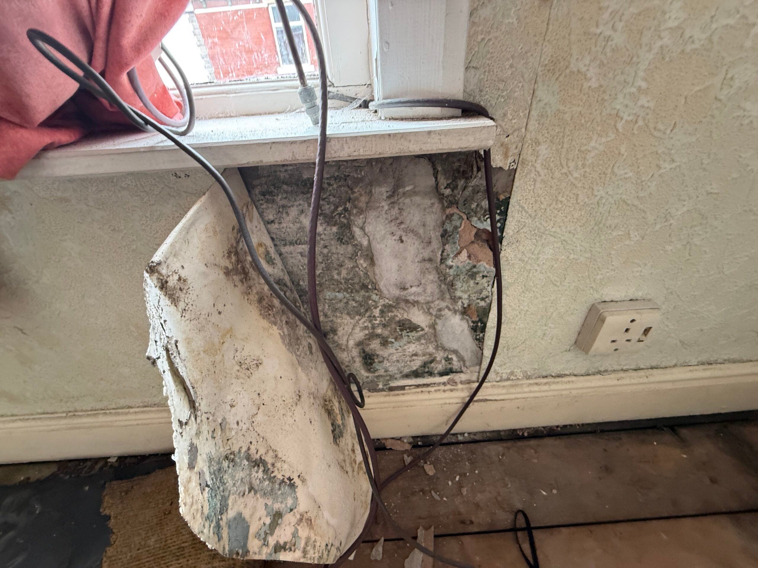 Damp Identification and Extent