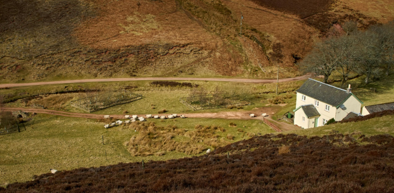 Expert assessments that reveal a site's true value.